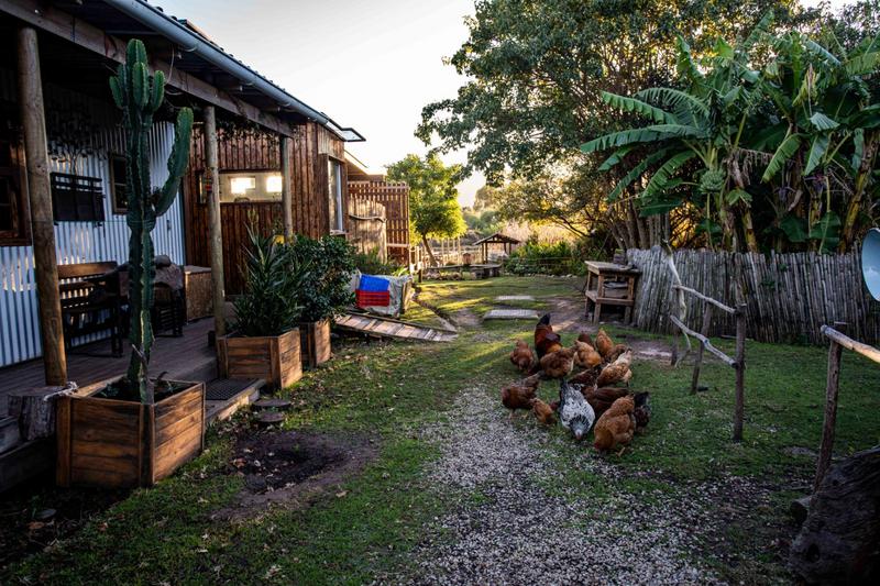 0 Bedroom Property for Sale in The Crags Western Cape